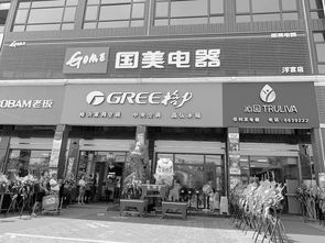 下沉市場家電連鎖換新顏，國美新零售店獲縣域老板點贊